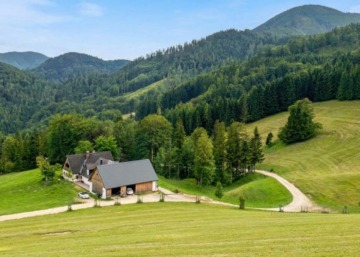 Eigenjagd in Alleinlage mit Gutsge­bäuden nähe Ybbsitz, 3341 Yppsitz, Jagd- und Forstwirschaft