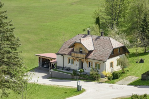 Anischt